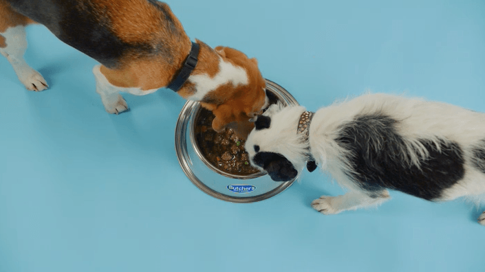 Featured image for article about Top Stories