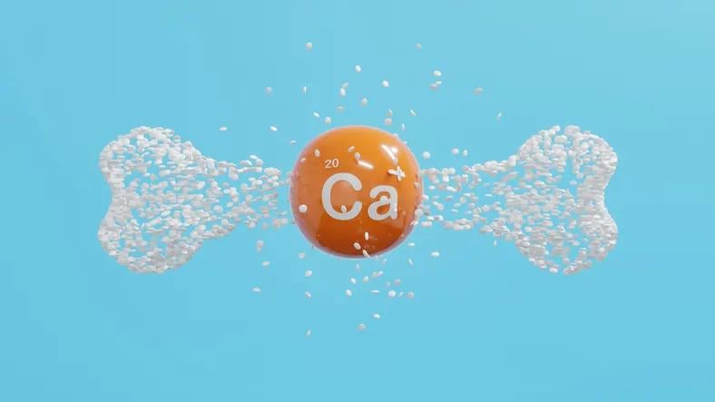 Featured image for article about Research Reports