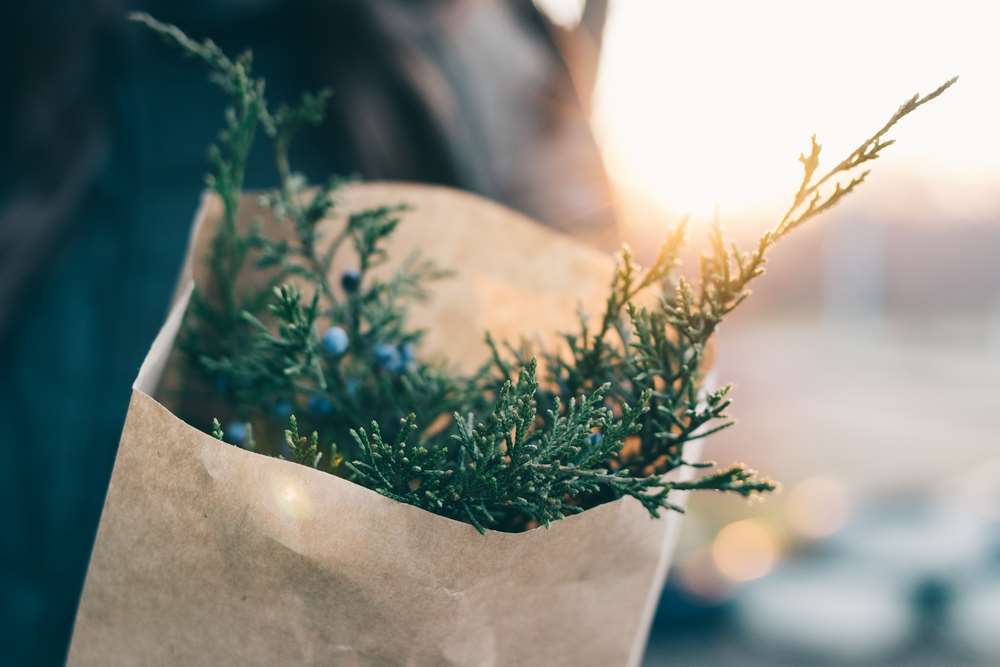 Featured image for article about Top Stories