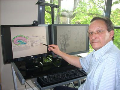 Featured image for article about Top Stories