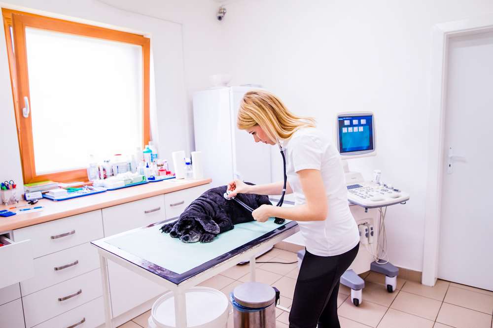 Featured image for article about Business