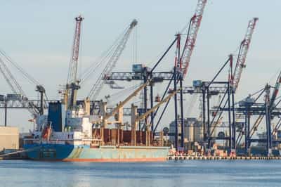 Image for Italy's U.S. exports rose last year despite tariffs, report shows