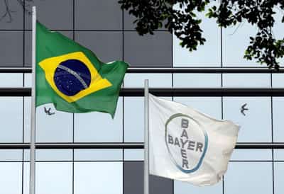 Image for Bayer unveils new soy seed for Brazil's farmers