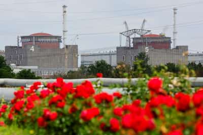 Image for IAEA: process started to restore external power to Ukraine's Zaporizhzhia nuclear plant