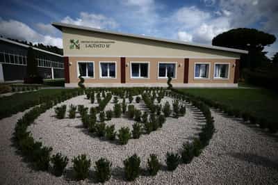 Image for Pope Leo, in climate push, to open Vatican-run ecological training centre