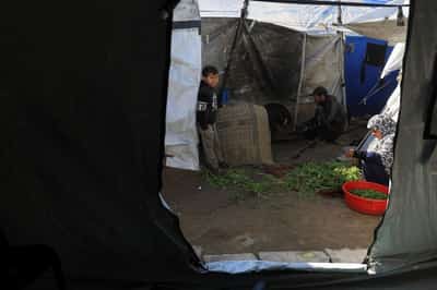 Image for US pitches 'New Gaza' development plan; Israeli fire kills five Palestinians