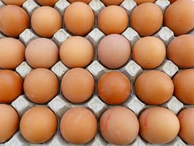 Image for French appetite for eggs hits record highs in 2025