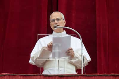 Image for Pope Leo urges Catholic cardinals to create more inclusive Church