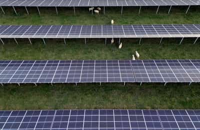 Image for EnBW calls for reliable regulation as core profit drops 7%