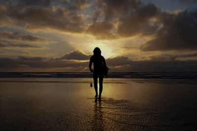 Image for Two evolutionary changes underpinning human bipedalism are discovered