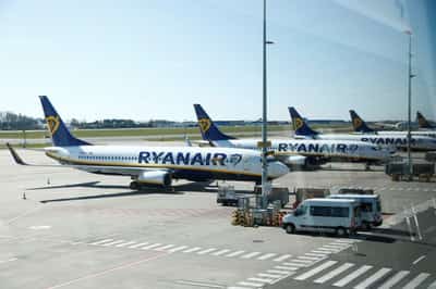 Image for Ryanair to cut Brussels Charleroi capacity due to passenger tax