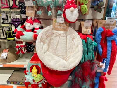 Image for Pets At Home trims profit forecast on soft demand, shares slide