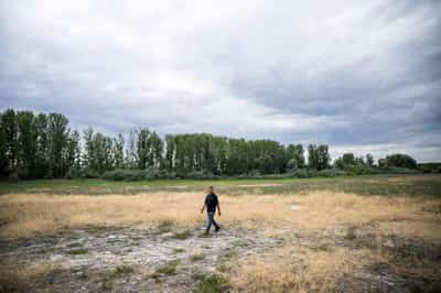 Image for State Street takes US fund arm out of climate group