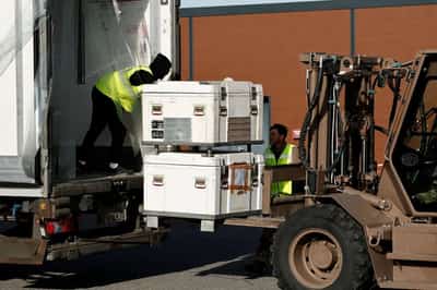 Image for France drafts in army for cattle vaccination to defuse farmer protests