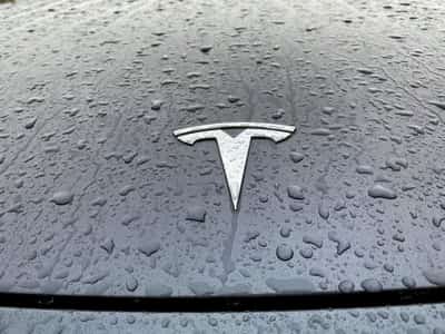 Image for Tesla sales fall in big European markets but set record in Norway