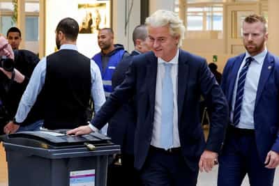 Image for Wilders' election losses do not herald decline of European far-right