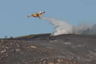Image for Volunteer firefighter dies in Spain as wildfires rage