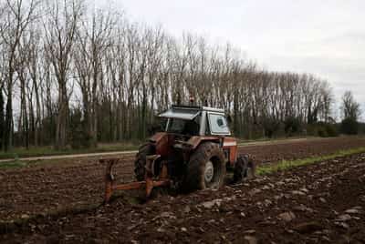 Image for EU eyes grants, subsidies to offset Iran war impact on farming, transport