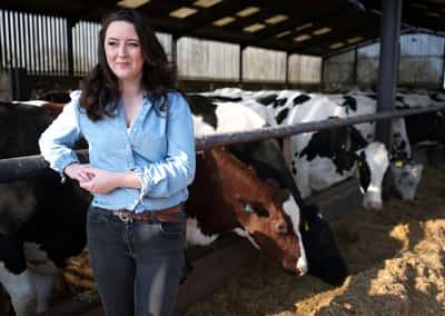 Image for Milk price slide leaves UK dairy farmers on the brink