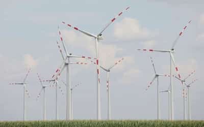 Image for Austria eyes renewables, African gas to cut US LNG dependence, junior minister says