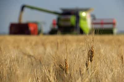 Image for Soaring costs prompt French farmers to reconsider sowings