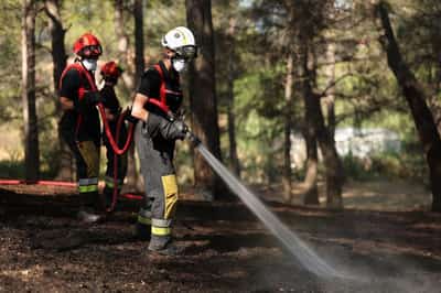 Image for Hundreds of firefighters battling wildfire in southern France amid improved weather conditions