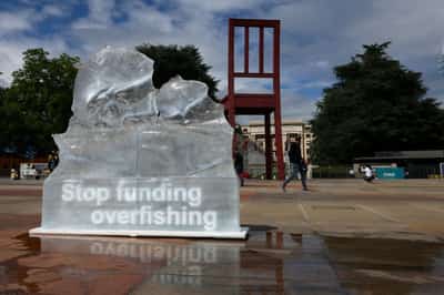 Image for Deal to curb billions in overfishing subsidies comes into force at WTO