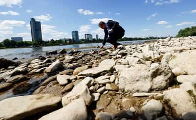 Image for Low water still hindering Rhine river shipping in Germany after rain