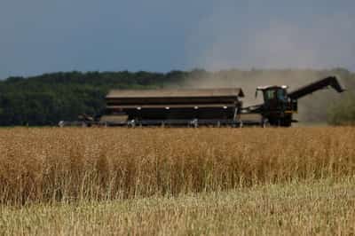 Image for Surging fuel, fertiliser prices do not threaten Ukraine's spring crop sowing, official says