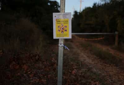 Image for Spain to resume pork exports to China from regions unaffected by swine fever outbreak