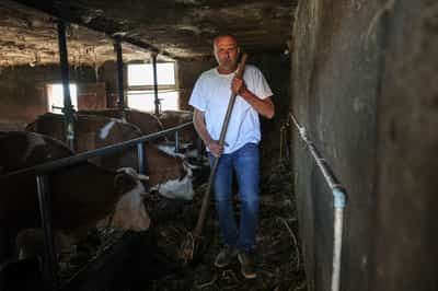 Image for Serbian farmers vow to oppose Rio Tinto lithium project even after EU labels it strategic