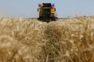 Image for Vessel carrying grain Ukraine says was stolen will not unload in Israel, Kyiv says