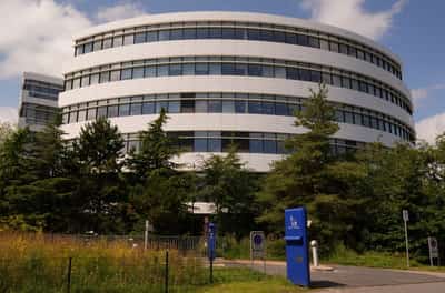 Image for Novo's new CEO faces sceptical investors with Wegovy US sales in focus