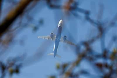 Image for Global pilots warn India's rest rule exemption for IndiGo raises safety concerns