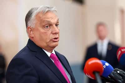 Image for Hungary's Orban launches cheap loans for businesses as election nears