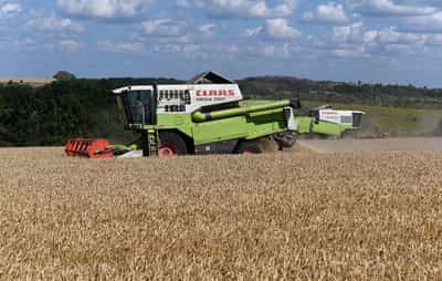 Image for Russia calls for joint food reserves with BRICS to counter Middle East crisis risks