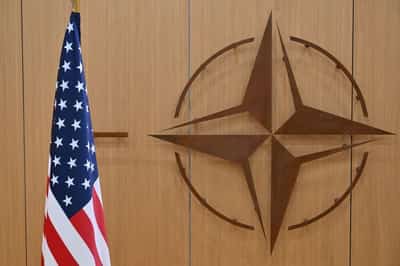 Image for NATO official: Alliance in close contact with US on force posture in Europe