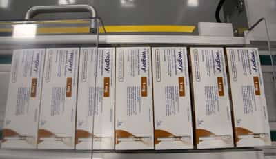 Image for Novo Nordisk CEO warns of layoffs as Wegovy challenge heats up