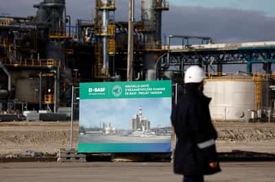 Image for BASF targets Frankfurt exchange for agricultural business listing