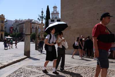 Image for Heatwaves in Spain caused 1,180 deaths in past two months, ministry says