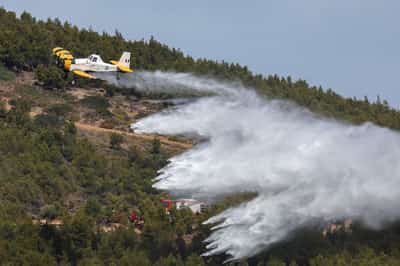 Image for Firefighters test readiness as Greece enters wildfire season