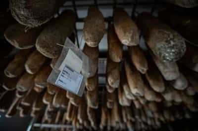 Image for China’s retaliatory tariffs to squeeze EU pork producers