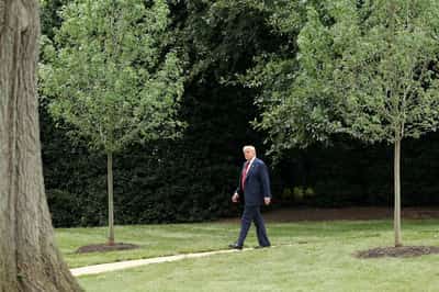 Image for After diplomatic blitz on Ukraine and Gaza, Trump moves to passenger seat