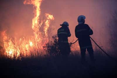 Image for Wildfires rage across Bulgaria, destroying forests and homes