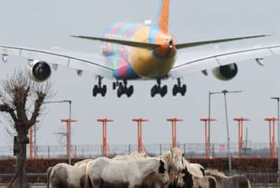 Image for UK's Heathrow Airport says slowing growth shows need for new runway