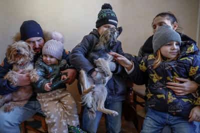 Image for The Kyiv family, with its pets and pigs, defying Russia and the cold