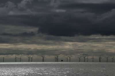 Image for Britain's Crown Estate plans new offshore wind leasing round for next year