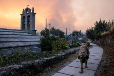 Image for Spain battles 20 major wildfires amid scorching heat, deploys more troops
