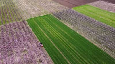 Image for Greek parliament set to probe agency linked to EU farm-aid fraud