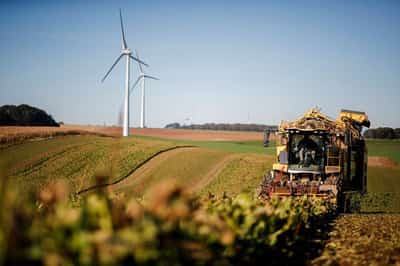 Image for Cristal Union revenue falls 14% as European sugar prices plunge